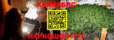 СК Будённовск