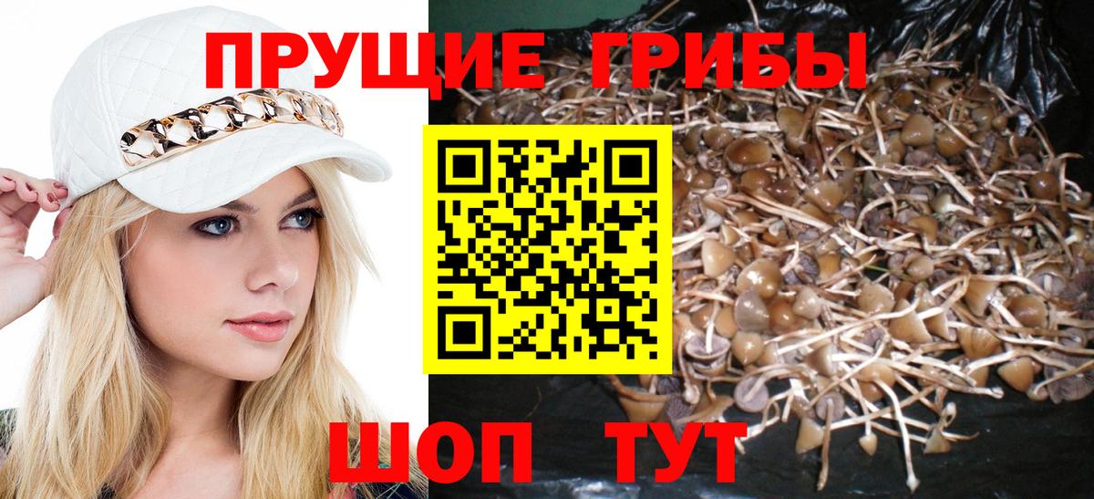 Псилоцибиновые грибы GOLDEN TEACHER Полевской