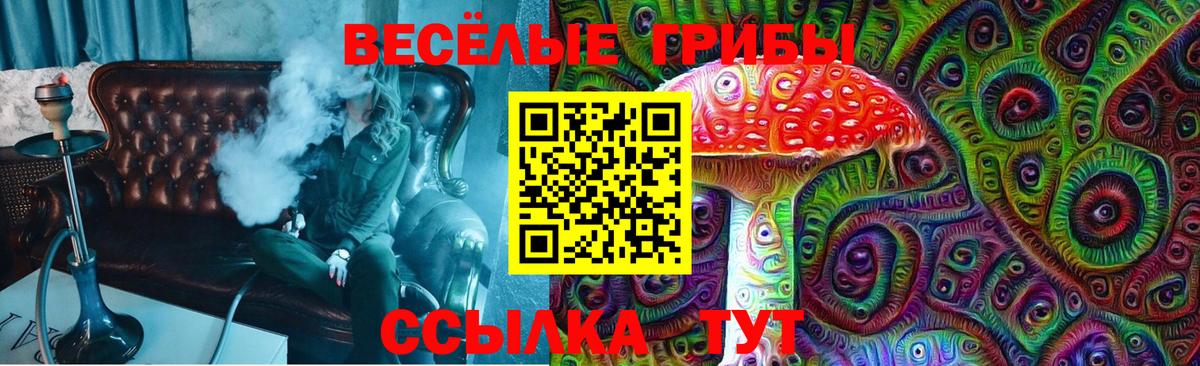 Полевской  Галлюциногенные грибы Cubensis  Вход с VPN  Галлюциногенные грибы прущие грибы 